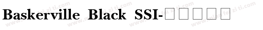 Baskerville Black SSI字体转换